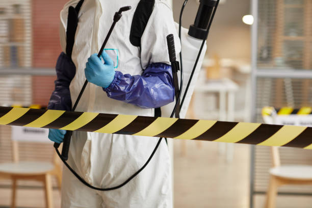 Professional Odor Removal technician working in Center, TX